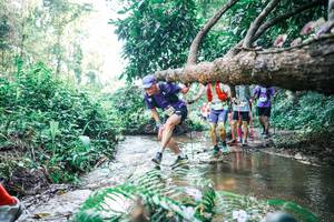 BIB: 
                            <button type="button" onclick="openModal(25451424)" class="btn btn-primary btn-sm float-right btn-popup" data-toggle="modal" data-target=".modal-high-quality">
                        <i class="fas fa-shopping-cart"></i> Add to Cart
                    </button>
                                            <button type="button" onclick="isThisMe(25451424, true)" class="btn btn-success btn-sm float-right btn-popup btn-isme hidden" data-toggle="tooltip" data-placement="bottom" title="นี่คือรูปของคุณใช่ไหม คลิกที่นี่เพื่อเอาเข้าอัลบั้ม">
                        <i class="fas fa-plus"></i> Add to album
                    </button>
                    <button type="button" onclick="isThisMe(25451424, false)" class="btn btn-warning btn-sm float-right btn-popup btn-isnotme hidden">
                        <i class="fas fa-ban"></i> Remove from album
                    </button>